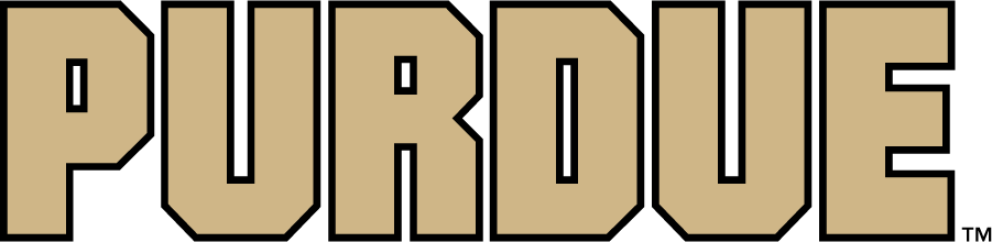 Purdue Boilermakers 2020-Pres Wordmark Logo diy DTF decal sticker